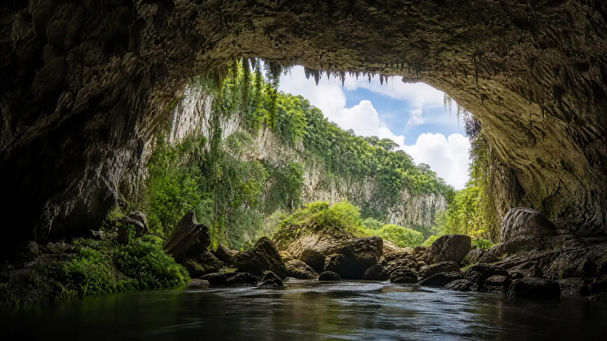 Esplora un parco carsico di 268 acri e un enorme sistema di fiumi sotterranei di 10 miglia. Ammira soffitti di caverna di 200 piedi e scopri l'antica storia dei Taíno.