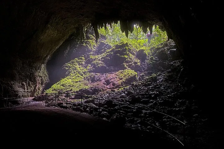 Ingresso della grotta con vegetazione verde che scende dall'apertura
